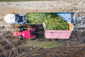 Sicurezza dei macchinari industriali: tutto ciò che c’è da sapere
