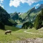 Perché il futuro del lavoro in Svizzera passa dagli spazi condivisi