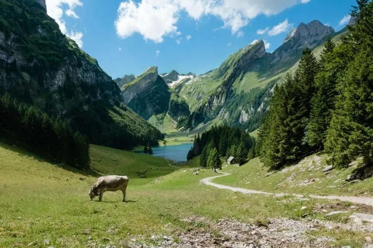Perché il futuro del lavoro in Svizzera passa dagli spazi condivisi