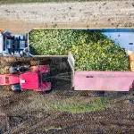 Sicurezza dei macchinari industriali: tutto ciò che c’è da sapere