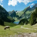 Perché il futuro del lavoro in Svizzera passa dagli spazi condivisi