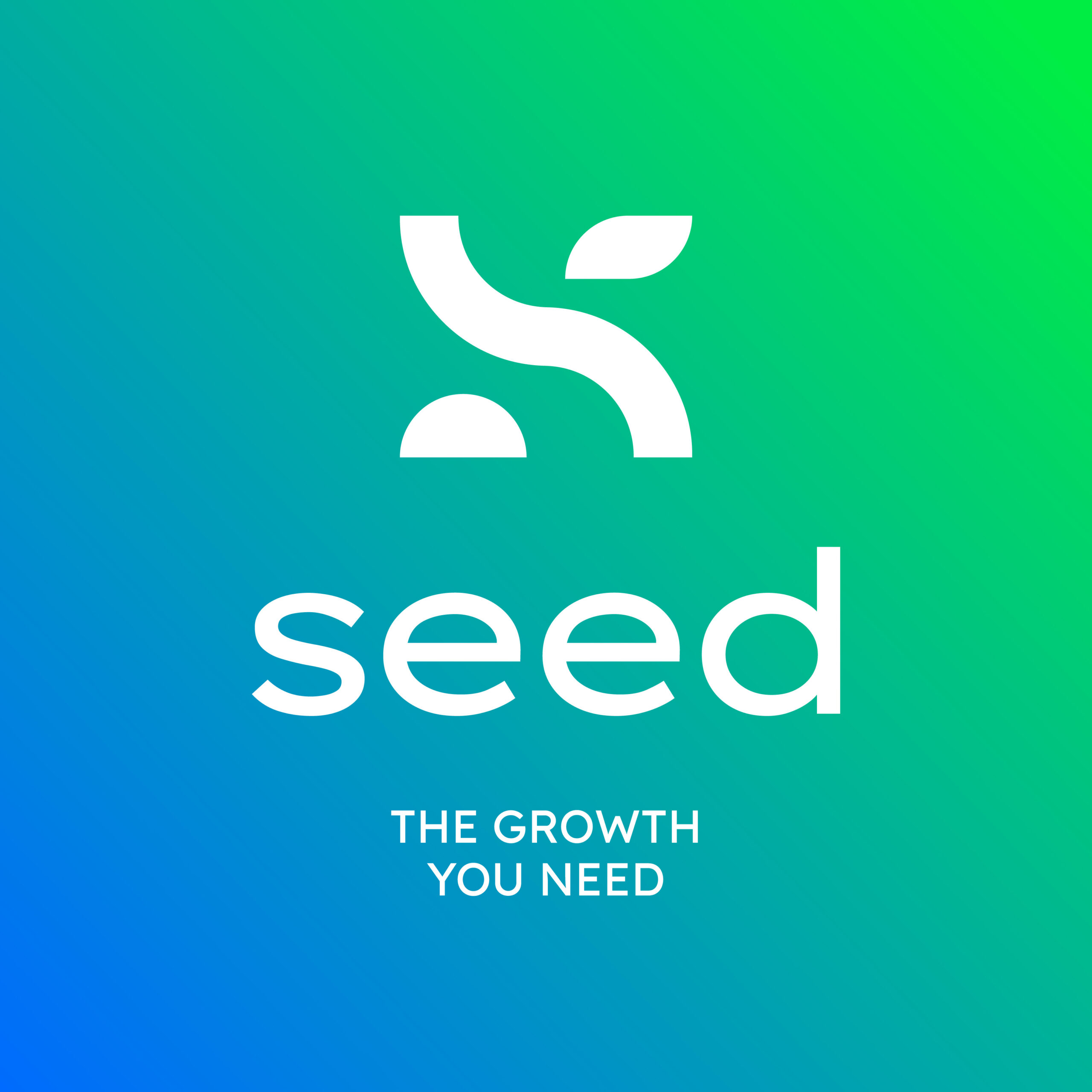 Pasquale Gangemi e Diego Stramezzi lanciano Seed Digital una nuova società di consulenza strategica di digital marketing