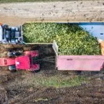 Sicurezza dei macchinari industriali: tutto ciò che c’è da sapere